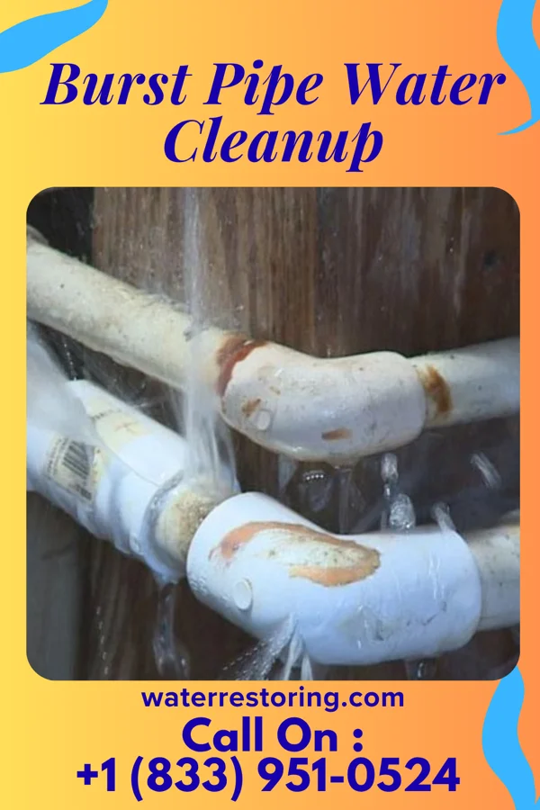 Burst Pipe Water Cleanup in Friendsville, TN