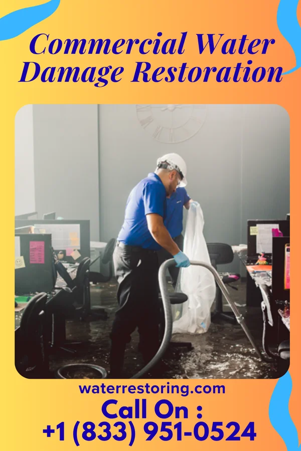 Commercial Water Damage Restoration in Friendsville, TN