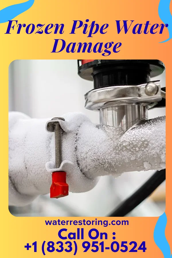 Frozen Pipe Water Damage in Friendsville, TN