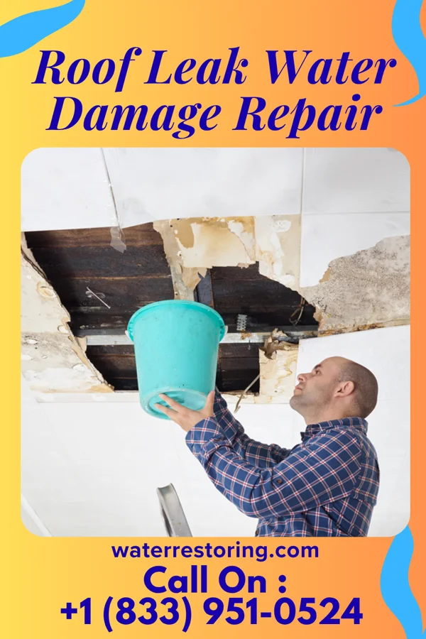 Roof Leak Water Damage Repair in Friendsville, TN