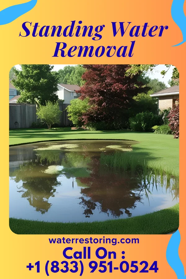 Standing Water Removal in Friendsville, TN